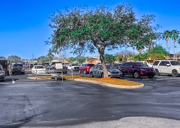 Asphalt & seal coating